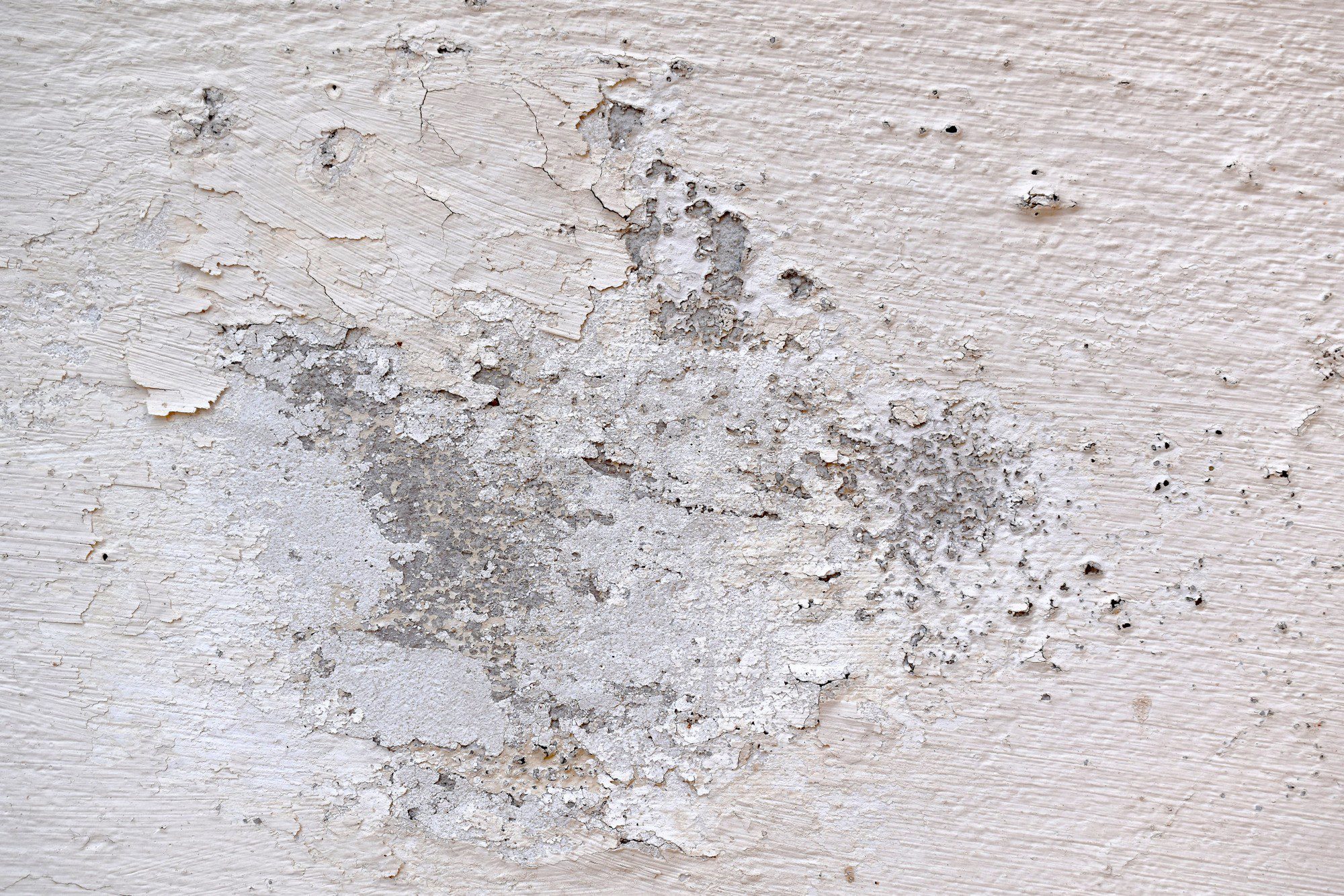 Rising Damp: The Silent Culprit Behind Property Damage | No More Damp Ltd